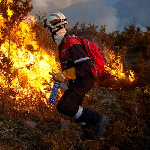 LOTTA INCENDI BOSCHIVI